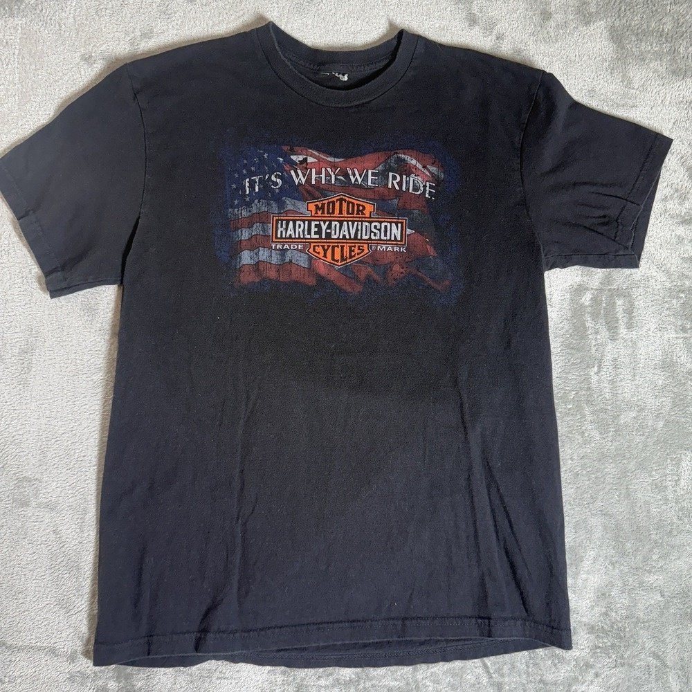 Harley Davidson T-Shirt Mens Large Winston-Salem NC "Its Why We Ride" Black Tee